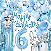 Gonngrun 16th Blue Silver Birthday Party Decorations with Happy Birthday Banner,Love Balloons,Number Balloon 16,Butterfly Hanging Garland,Fringe Curtains for 16th or 61st Birthday Party
