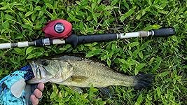 Review Image by David C. Crenshaw