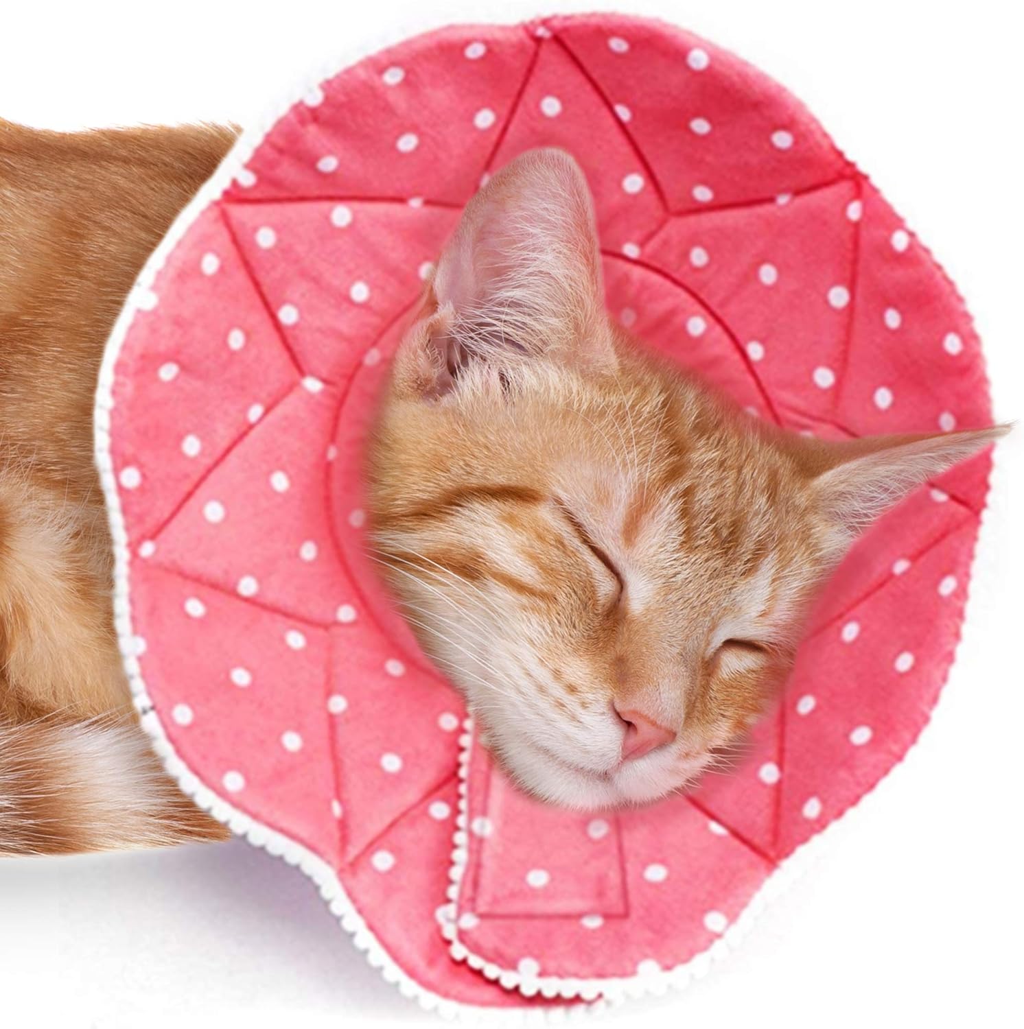 Meric Recovery Collar for Cats, Viral Cute and Practical