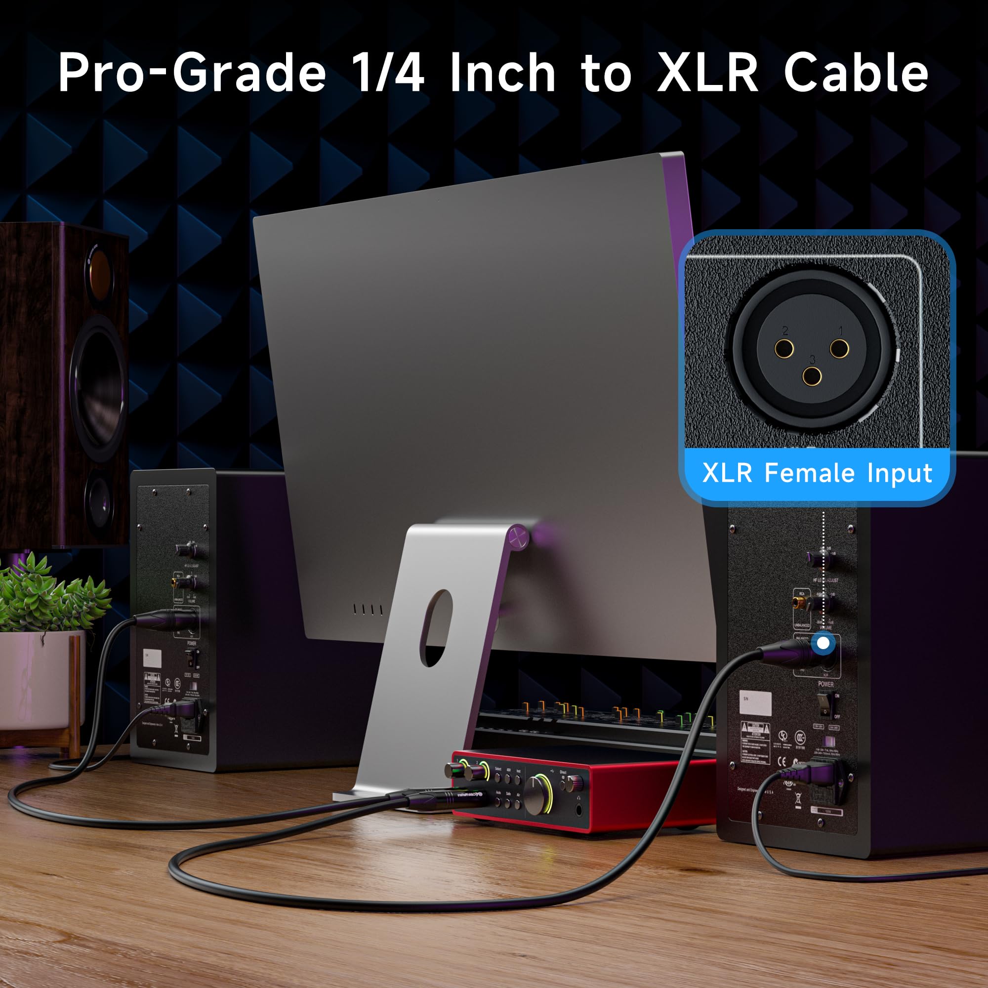 Cable Matters 6.35mm (1/4 Inch) TRS to XLR Cable - 10ft, Male to Male XLR to TRS Cable, Black - Not for Microphone Use