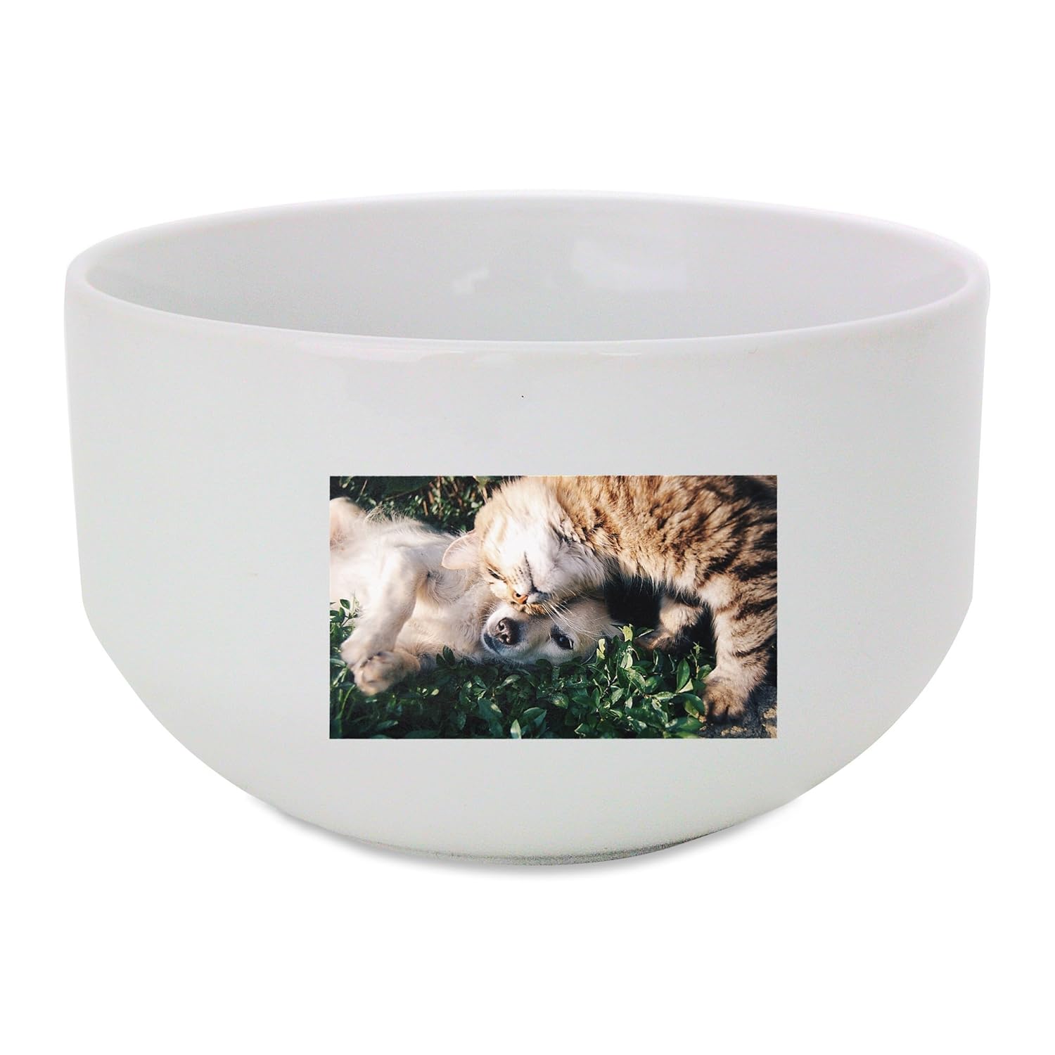 Amigos, gato y perro, gatos y perros, mascotas bol de cerámica ...