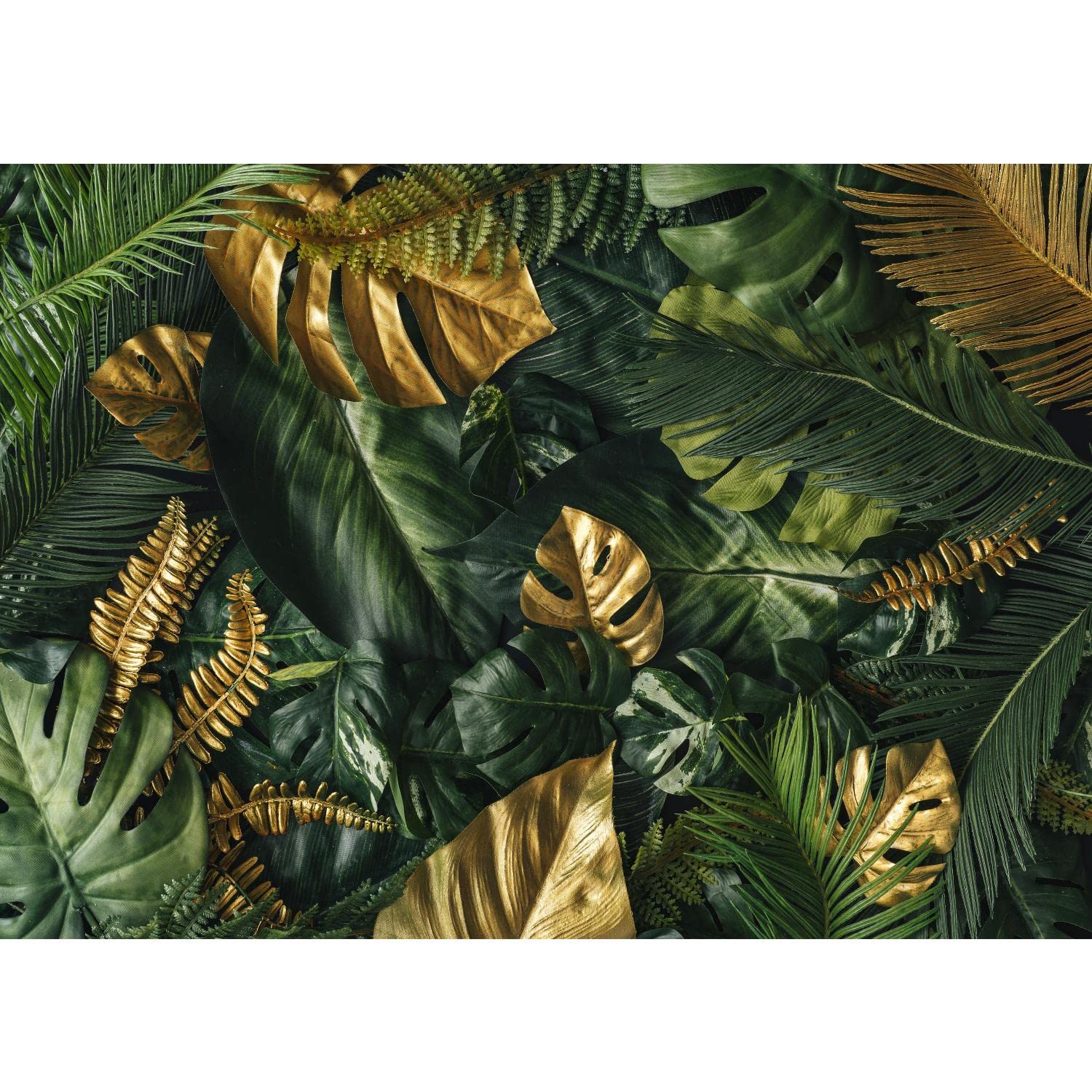 Runa Art Wallpaper 396 x 280 cm Tropical Leaves Botany Non-Woven Decoration Print Wall Mural Living Room - Made in Germany - Green 9591012a