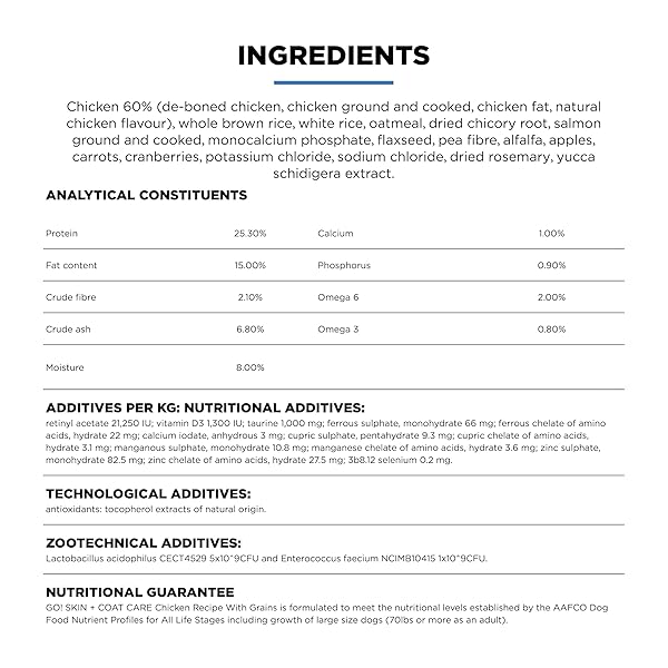 GO! SOLUTIONS SKIN + COAT CARE CHICKEN DRY DOG FOOD WITH GRAINS, HEALTHY KIBBLE WITH OMEGA-3S & 6S FOR SOFT, SHINY FUR, FOR PUPPIES, ADULTS, & SENIORS, 3.5 LB BAG