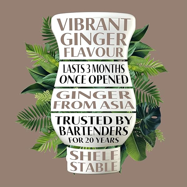 GINGER REÀL, GINGER INFUSED SYRUP, 16.9 FL OZ SQUEEZABLE BOTTLE (PACK OF 1)