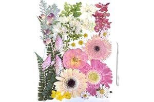 ZQmino A4 Large Dried Pressed Flowers for Resin Real Dry Natural Flowers Leaves for Resin Mold Cake Candle Making Phone Cases Scrapbooking DIY Art Crafts (Fantasy Color)