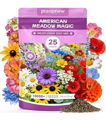 lin lan flower seeds Linum perenne main image 0