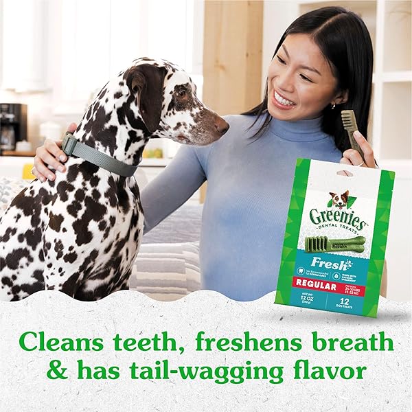 GREENIES VETERINARIAN-RECOMMENDED NATURAL DENTAL DOG TREATS, DENTAL CHEWS FOR DOGS, REGULAR SIZE, FRESH FLAVOR, 12 OZ. PACK, 12 COUNT