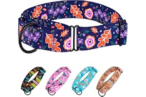 CollarDirect Martingale Collars for Dogs Heavy Duty Floral Pattern Female Safety Nylon Training Wide Collar Flower Design Large Medium (M, Neck Size 12"-17", Navy Blue)