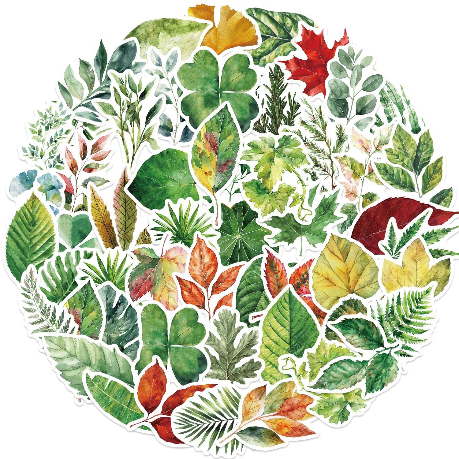 50Pcs Leaf Stickers for Car,Helmet,Water Bottle,Laptop,Skateboard,Bike,Computer,Luggage, Scrapbook,Cartoon Plant Vinyl Sticker,Adults Children Boys Gift,Cute Green Leaf Aesthetic Graffiti Decals