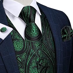 DiBanGu Mens Vest and Tie Set Formal Paisley