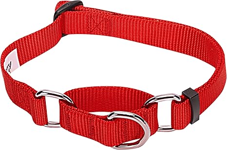Large martingale dog collar Clearance