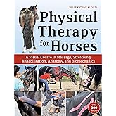 Physical Therapy for Horses