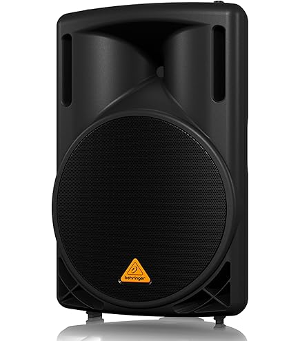 Amazon.com: Behringer EUROLIVE VS1220 High-Performance 600 Watt PA