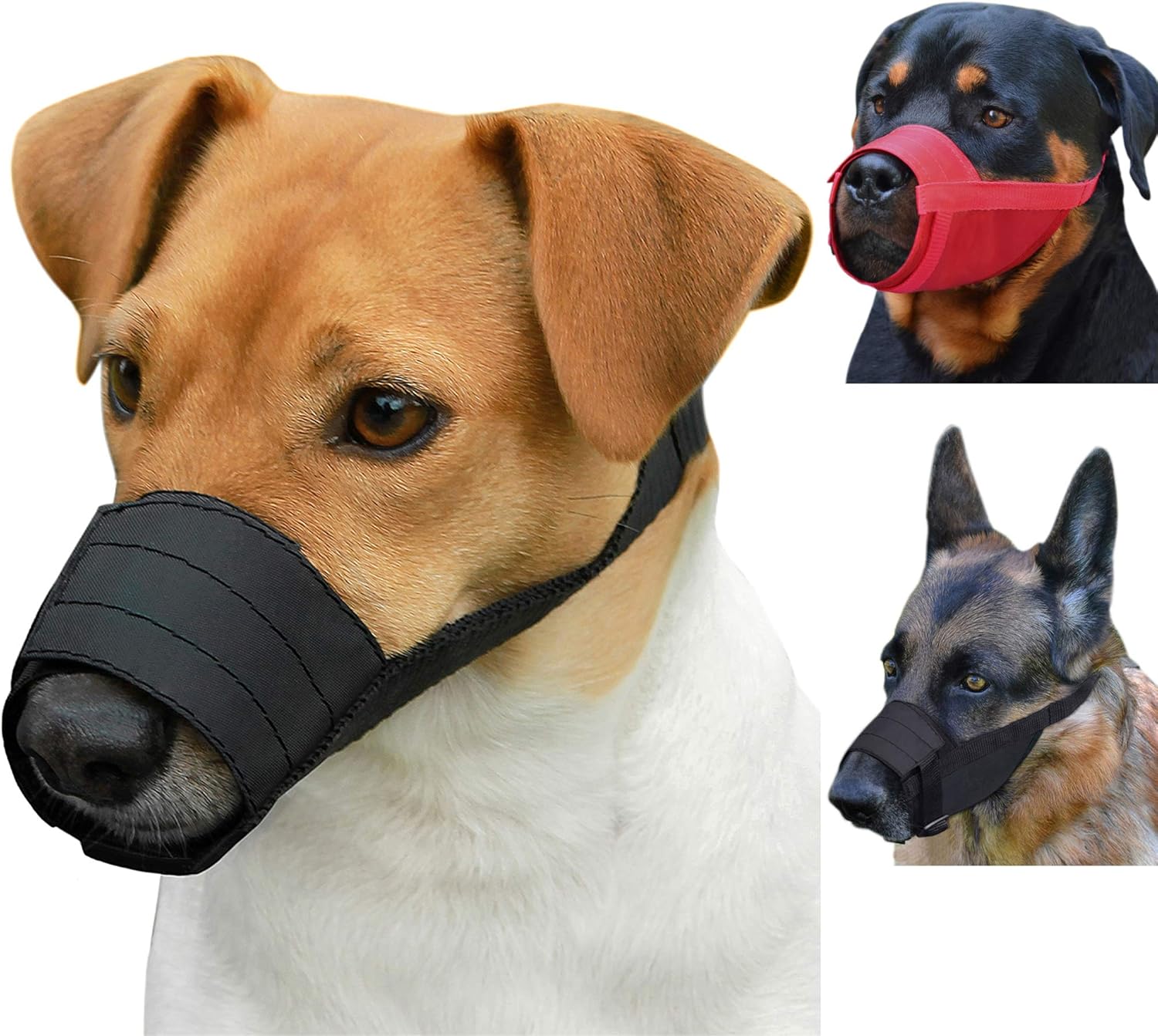 dogs muzzle red