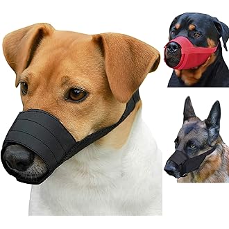 little dog muzzle