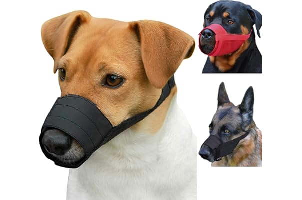 muzzle for chihuahua petsmart