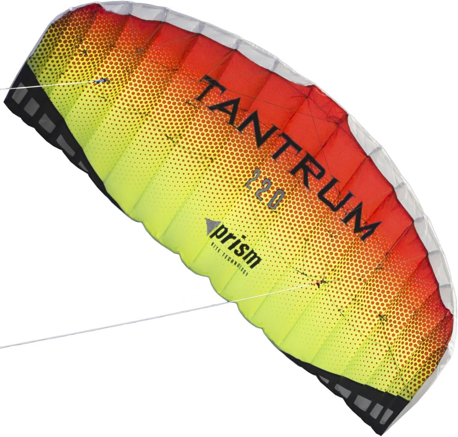Prism Kite Technology Tantrum 220 Dual-line Parafoil Kite with Control Bar