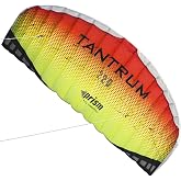Prism Kite Technology Tantrum 220 Dual-line Parafoil Kite with Control Bar