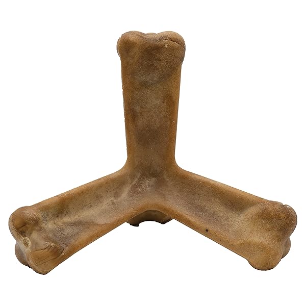 N-BONE QUADO INTERACTIVE CHEW, PEANUT FLAVOR, AVERAGE JOE, 2.8OZ, NATURAL, MEDIUM (PACK OF 1)