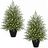 Waipfaru 2FT Norfolk Pine Trees with Lights | Set of 2 Small Pre-lit Artificial Trees with Pot, Realistic Table Top Christmas Tree, Xmas Decor for Indoor Home Front Porch