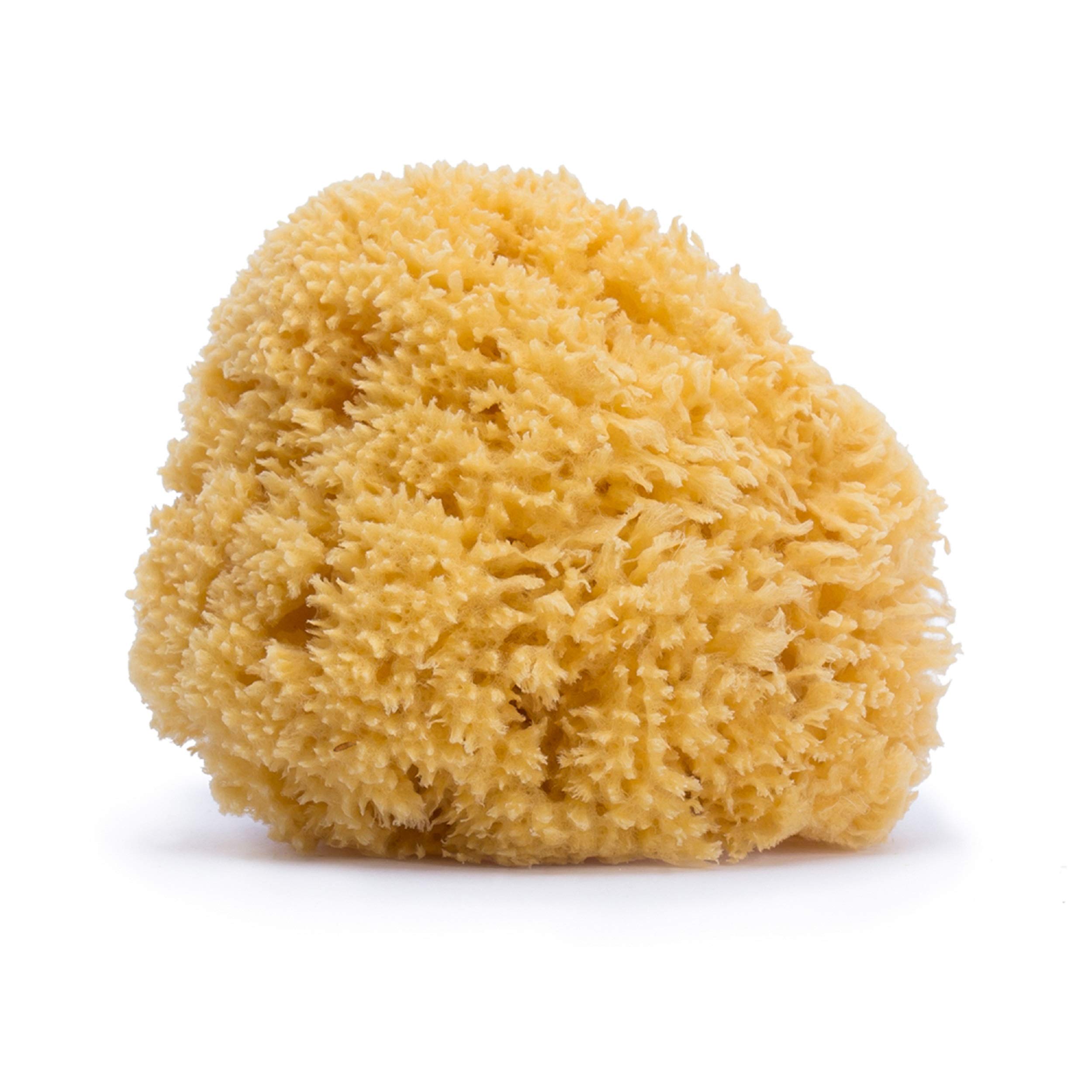 Suavinex 3302927 Natural Sponge Large
