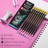 Drawlish 8-12B 6H Sketching Pencils Set of 8-12B to 6H for Artists view 4