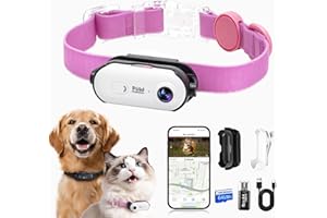 PAWPAWSEN 4K UHD Cat& Dog Pet Camera Collar, Video Recorder with Phone App Live View, Outdoor & Indoor POV Action Cam for Kitty and Big Cats(White - Pink Waterproof Collar - S, 64g)