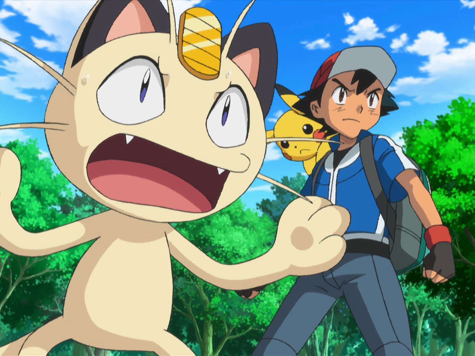 Was Kommt Nach Pokemon Xyz