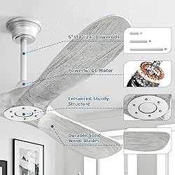 CACI Mall 60" Ceiling Fan,no Light,Natural Solid