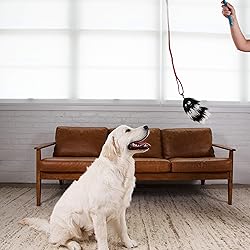 Outward Hound Tail Teaser Durable Dog Wand with