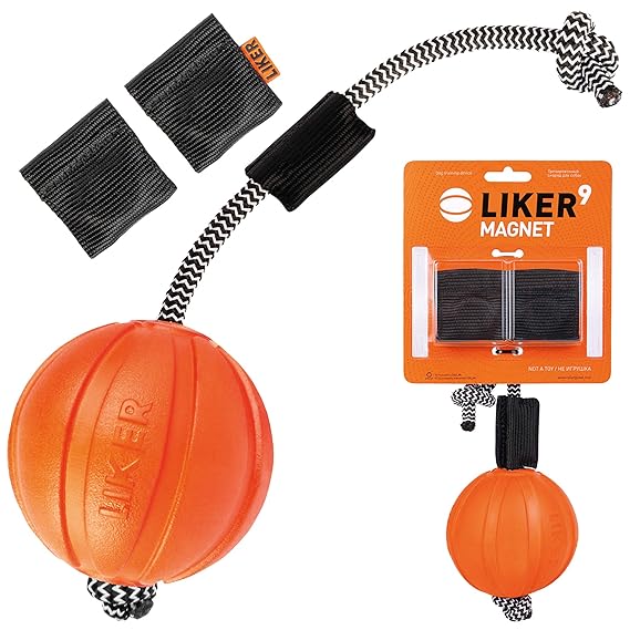 Ball on a rope dog training Clearance