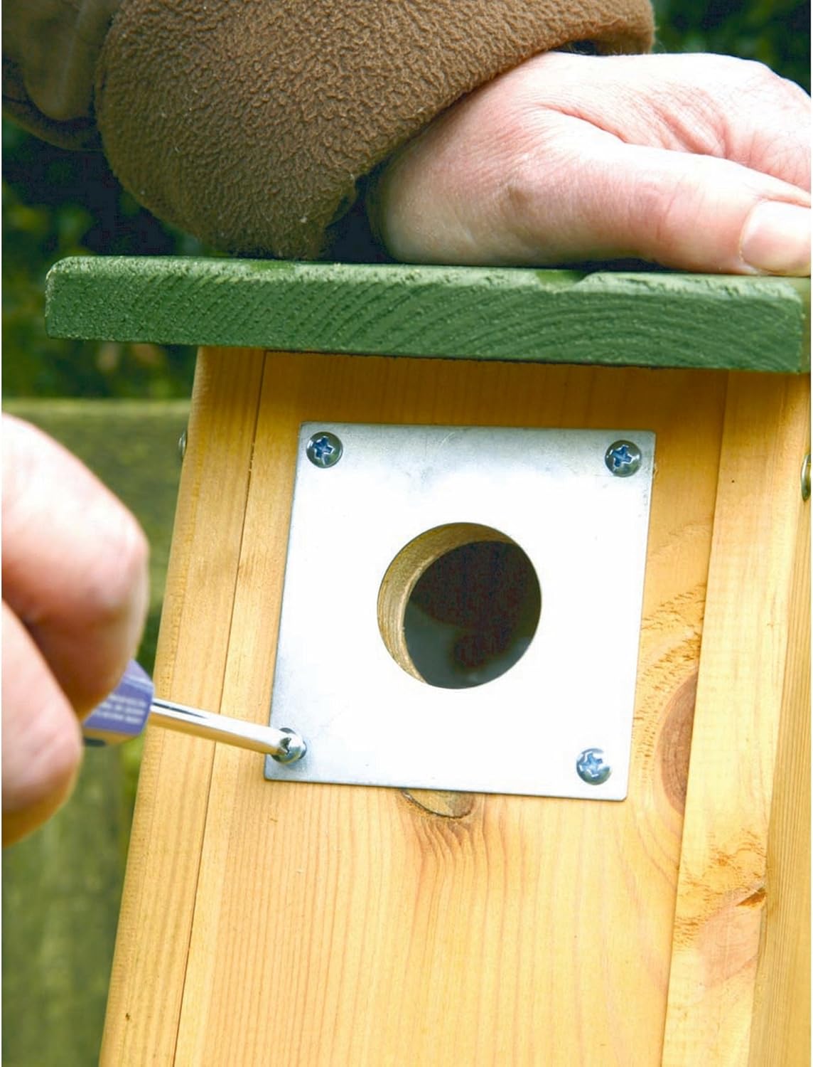 C J Wildbird Foods Limited Nest Box Protection Plate 32mm Amazon.co.uk