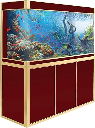 fish tank bundle
