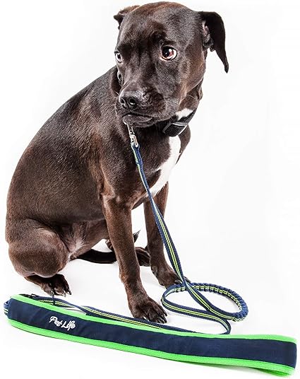 Over the shoulder dog leash Clearance