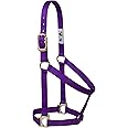 Weaver Equine Nylon Horse Halter, Comfort Double-Ply Webbing, Basic Non Adjustable Halters for Horses, Equine Tack,Average Size, Blue