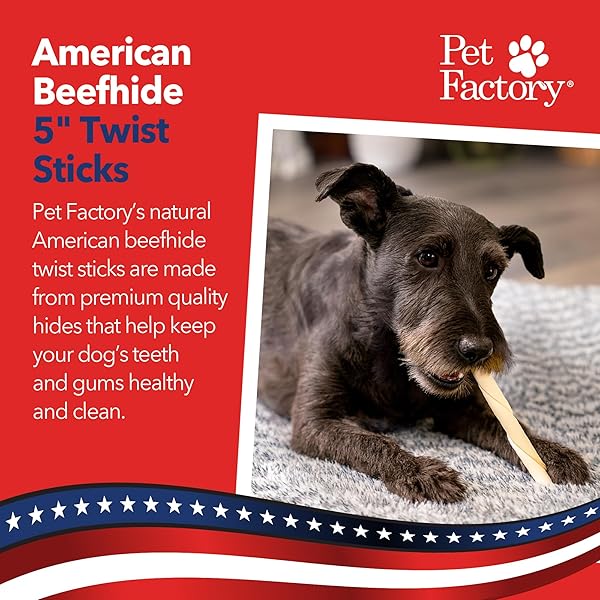 PET FACTORY AMERICAN BEEFHIDE 5″ TWIST STICKS DOG CHEW TREATS – NATURAL FLAVOR, 1 LB