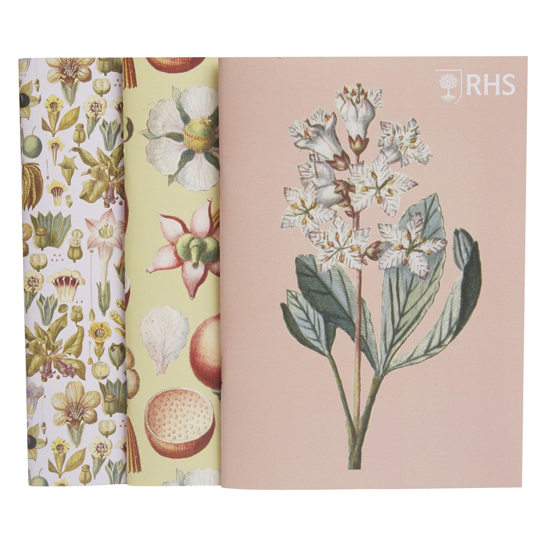 RHS The Royal Horticultural Society 40 Page Stapled Sketchbook (100gsm), Geissler, A5 Pack of 3, Multicoloured, Designs from The RHS Lindley Collections by Christian Gottlieb Geissler