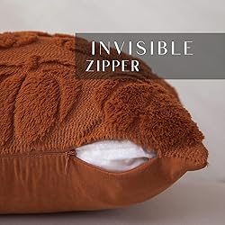 DFXSZ Fall Pillow Covers 20x20 Set of 2 Fall