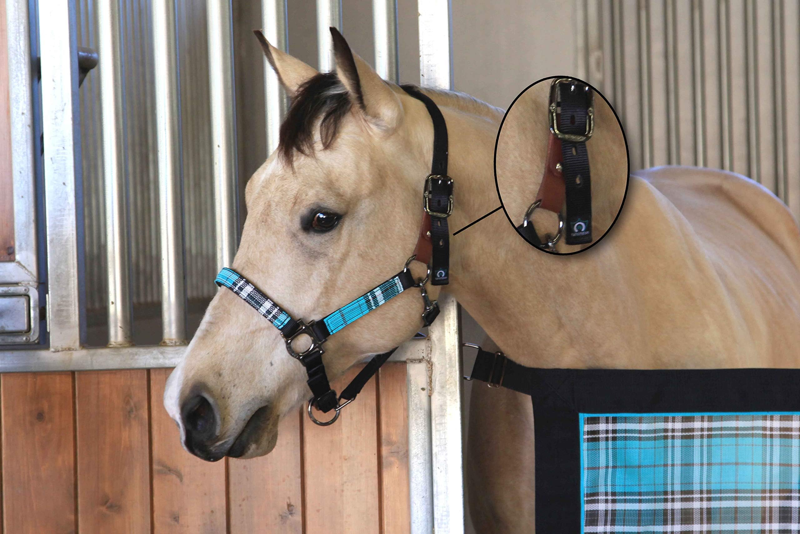 Kensington Premium Breakaway Halter with Padded Nose — Added Breakaway Safety Measures — Snap at Throat for Identical Fit Each Time