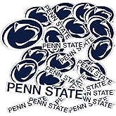 Desert Cactus The Pennsylvania State University Sticker Penn State PSU Nittany Lions Vinyl Decals Laptop Water Bottle Car Scrapbook Sheet T1 (Type 1-1)