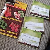 Huerto Urbano - Mix Brasicas - HU - Batlle: Amazon.es: Jardín