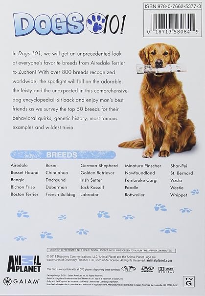 Watch Cats &Amp; Dogs Online Etonline