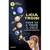 Dove va a finire il cielo (Italian Edition) book cover