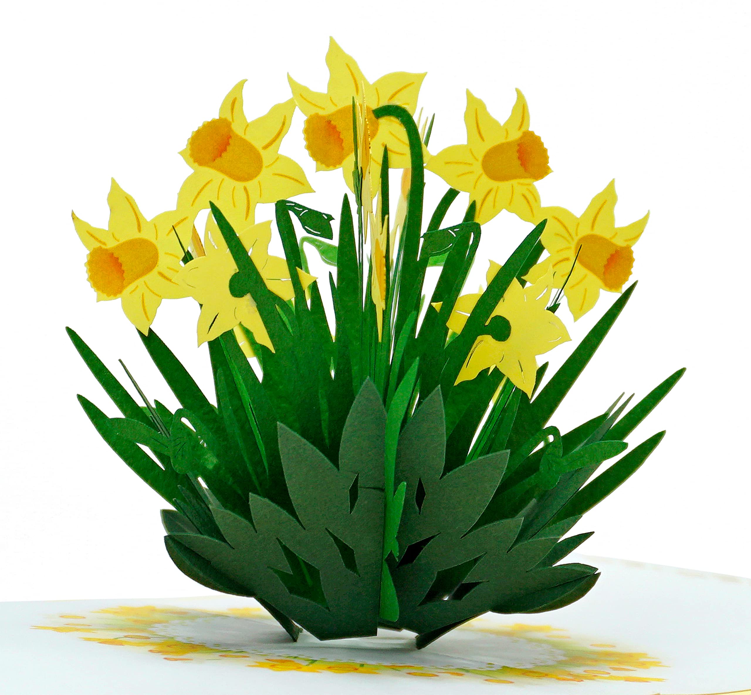 CUTPOPUP Daffodil 3D Cards - Birthday Cards for Women, Mothers Day Cards Pop Up, Flowers 3D Greeting Card, Anniversary Cards, Valentines Card UK