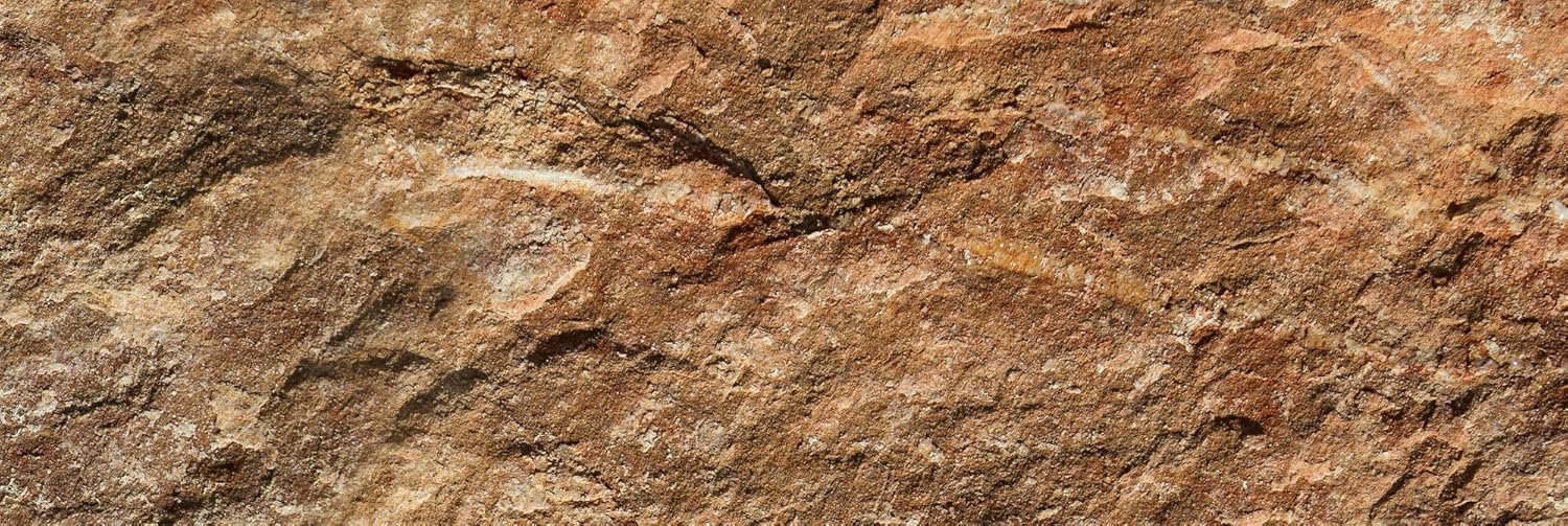 DIMEX LINE Peel and Stick Kitchen Backsplash Sticker Marble, Braun, 180 x 60 cm - Image 4