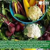 Elixir Gardens Triple Super Phosphate Fertiliser 0-46-0 For Fruit Veg Flowers view 7