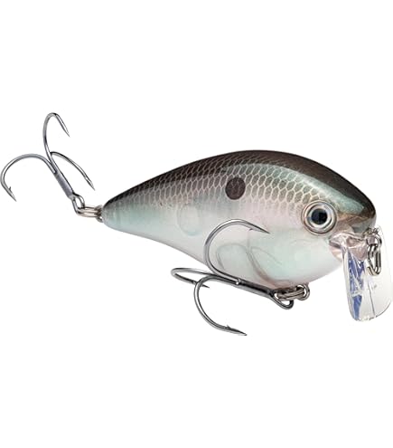 KVD 2.5 Wake Bait/Bluegill, Topwater Lures - Amazon Canada