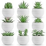 Der Rose Set of 9 Succulents Plants Artificial in