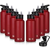HASLE OUTFITTERS 32 oz Insulated Water Bottle Stainless Steel Double Walled Vacuum Sports Water Bottle with 2 Lids (Straw and Spout Lid) for Gym Camping Hiking(Red,8)