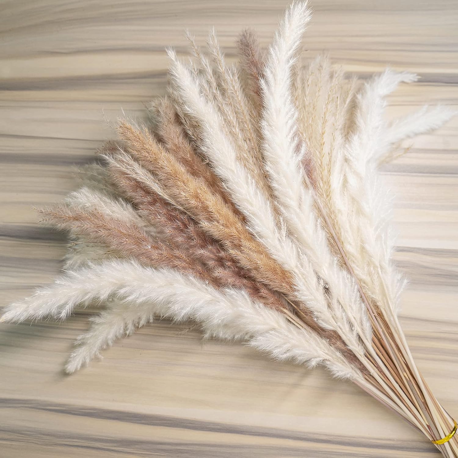 Dried & Preserved Flora - euokrpf 60pcs Natural Dried Pampas Grass,20 Pcs White Pampas & 20 Pcs Brown Pampas & 20 Pcs Reed Grass Boho Decor Wedding Decorations Flower Arrangements Home Decor
